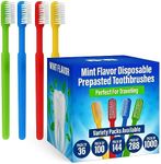 36 Prepasted Disposable Toothbrushe