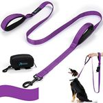 PuppyDoggy Dog Leash for Large Medi