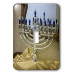 3dRose LSP_11031_1 Menorah Doubled Single Toggle Switch