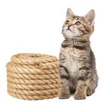 Natural Sisal Rope,10m x 10mm Sisal Rope for Cat Scratcher Jute Rope for Cat Scratching Post Hemp Rope 10mm Cat Rope for Cat Toys Twine String for DIY Garden, Bundling and Crafts Decoration (Brown)