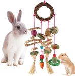 YIXUND Bunny Chew Toys, Rabbit Toys for Teeth Grass Timothy Cake and Treat for Guinea Pigs Hamster Chinchillas Rats and Other Rodent Toy Set