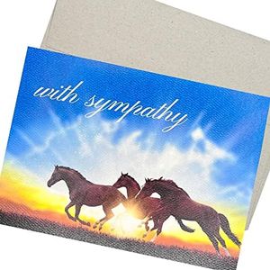 Groomers Margins Horse Sympathy Card with Envelope (5X7 Inches and Message Inside) Bereavement and condolence card for loss of pony. Also for equine veterinary practice - 70