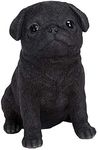 Vivid Arts | Pet Pals Black Pug Puppy | Resin Home or Garden Decoration | PP-BPUG-F