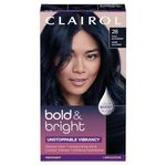 Clairol Bold & Bright Permanent Hair Dye, 28 Wild Blackberry Hair Color, Pack of 1