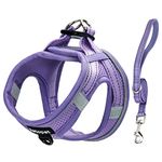 petopet Dog Harness and Leash Set, Small Breed Pet Vest Harness with Soft Paded Air Mesh Adjustable Buckles Metal Ring No Pull for Small Medium Dogs Puppy, Purple, XXS