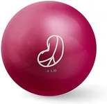 Bean Products Soft Weighted Balls - 4lbs Hibiscus