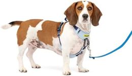 PetSafe Easy Walk Comfort No-Pull Dog Harness Full-Body Padding - Better Walks on The First Use - 5 Points of Adjustment Small/Medium, Blue