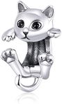 BISAER 925 Sterling Silver Charms for Pandora Bracelets Cat Dog Sloth Animal Beads Butterfly Fairy Heart Dangle Pendant Charms, Sterling Silver, Cubic Zirconia