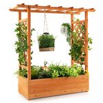 S AFSTAR Raised Garden Bed with Arch Trellis, Wood Planter Box with Hanging Roof, Side Trellis, 4 Drainage Holes, above Ground Elevated Garden Bed for Outdoor Climbing Plants Vines Patio