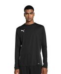 PUMA teamGOAL LS Jersey