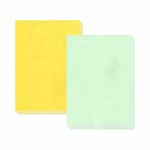 ESCAPER Lemon & Mint Magic Pack: 500 A4 Size Paper Sheets - 250 Sheets Each Color - Ideal for Printing, Crafting, and Unleashing Creativity