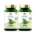 Search Wellness Neem Ayurvedic Capsules | Helps in Blood Purification, Soothes Redness & Itching and Remove Acne & Pimple| Pack of 2 (120 caps)