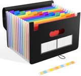 SAYEEC Expanding File Folder 13 Pockets Rainbow Accordion File Organizer with Colored Tags Vertical A4 Letter Size Plastic Magazine Document Holder Filling Storage Box for Office Home School (Black)