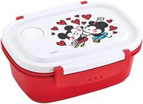 Skater XPM4-A Disney Mickey Mouse Friends Bento Box, Kanahei, 19.7 fl oz (550 ml), Microwave Safe, Storage Container, Made in Japan