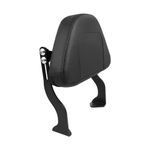 CHIFUN Backrest Detachable Rear Passenger Sissy Bar with Height Adjustable Cushion Pad Compatible with Harley Pan America 1250 S 2021 2022 2023, Black