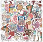 Anatomy Stickers |50Pcs Human Body 