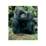 CafePress Mountain Gorilla Throw Blanket Super Soft Fleece Plush Throw Blanket, 60"x50"