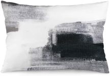 Black White Abstract Art Painting Throw Pillow Cover Queen Size White and Black Lumbar Pillow Case Modern Soft Standard Pillow Cases with Zipper Decorative Cushion Covers for Bed,Sofa,20"x30"