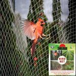 Shalimar Bird Net/Anti Bird Net/Pigeon Net/Garden Net UV Stabilised HDPE Monofilament Netting Solution (10 x 15) (Feet) - Natural Color
