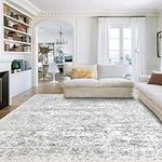 SONGLET 5x7 Area Rugs for Living Ro