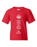 City Shirts Big Sister Shirt Kids