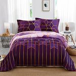 Purple Geometric Duvet Cover Golden Stripes Soft Microfiber Bedding Duvet Cover Set, Reversible Lightweight Bedding Sets 3pcs with Zipper Closure (Double, 200x200cm)