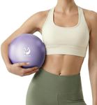 Slim Panda Pilates Ball - 9 Inch Mi