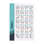 PosterMate - FitMate Workout Exercise Poster - Workout Routine with Free Weights, Home Gym Decor, Room Guide (16.5 x 25 Inch, Dumbbell)