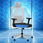 The Sleep Company Stylux Premium Ergonomic Office Chair | Patented SmartGRID Technology | SpinePro Adjustable Lumbar Support for Desk Chair | Chair for Work, Home, Study | Enduring Design | Grey