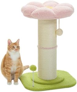PAWZ Road 