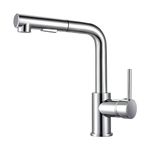 Kitchen Faucet With Pullout Spouts