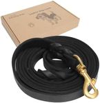 Guiding Star Leather Dog Leash 6ft,