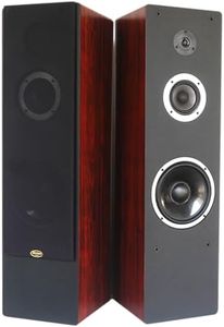 Divine Audio T3W Floor Standing Speaker