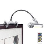LUXSWAY Wireless Picture Frame Led Lighting,Rechargeable Art Display Lighting Clip on Pictures,Over Painting Lights,Artwork Lamp with Flexible Neck,28 LEDs 3 Lighting Modes 200LM-Silver