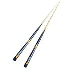 Pool Cue With Points