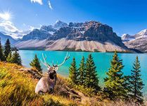 Jigsaw Puzzles for Adults 1000 Piece Puzzle for Adults 1000 Pieces Puzzle 1000 Pieces-Canadian Rocky Mountain Lake