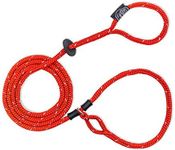 Harness Lead No Pull Dog Harness an