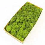 prefleur Preserved Reindeer Moss Natural Green DIY Kit Terrariums Gardenning Art Wall Decor Florist Decor Easter Table Decor Wedding Decor (0.85lb) (Green-08)