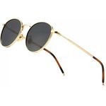 Dervin Ponderable UV Protection Coating Round Sunglasses for Men and Women Classic Metal Sun Glasses (Gold-Black)