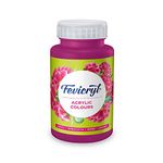 Fevicryl Pidilite Acrylic Colour for Art and Craft Paint, Canvas, Wood, Leather, Earthenware, Metal (Deep Brilliant Pink, 500 Ml)