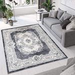 Tinyboy-hbq Area Rug Living Room Ru