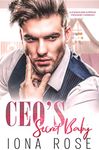 CEO'S Secret Baby: A Standalone Surprise Pregnancy Romance