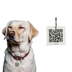 Smart Acrylic QR Code for Dogs - Secure ID & Medical History Tag | Pet Safety Tracker