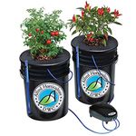 Alfred Horticulture 2-site (5-Gal Bucket) Deep Water Culture (DWC) - 2 Plant Hydroponic Grow Complete System