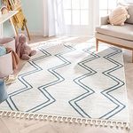 Stain Resistant Area Rug