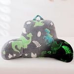 Aimuan Reading Pillow Glow in The D