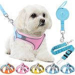 HPETHF Dog Harness for Small Dogs Leashes Set,Soft No Pull Adjustable Breathable Mesh Leash and Harness Vest Belt for Puppy,Small,Medium Dogs and Cats.（PB-XS）