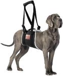 S-ETOVUS Dog Sling for Back Legs, D