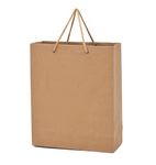 PPJ ® - PLAIN BROWN CRAFT (10 PCS) PAPER CARRY BAG, 10 Inch X 12 Inch X 4 Inch for DIWALI/WEDDING/FUNCTION/BIRTHDAY/RETURN GIFTS/CHRISTMAS/SHOPPING/GIFTING/GIFT BAGS/GIFT COVERS (Pack of 10)