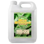 Elixir Gardens High Nitrogen Liquid Fertiliser All Season For Fruit, Flowers and Lawns | Various Sizes 1-10L | Produces 2500L of liquid feed | 10 Litre Bottle